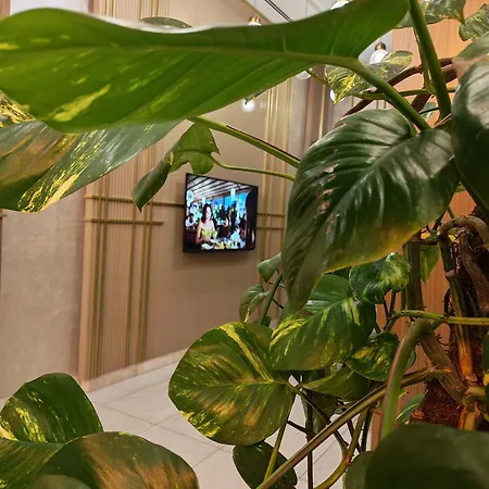 La Flora House Aparthotel 3*